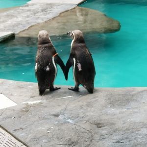 Meet your Posher, Christal